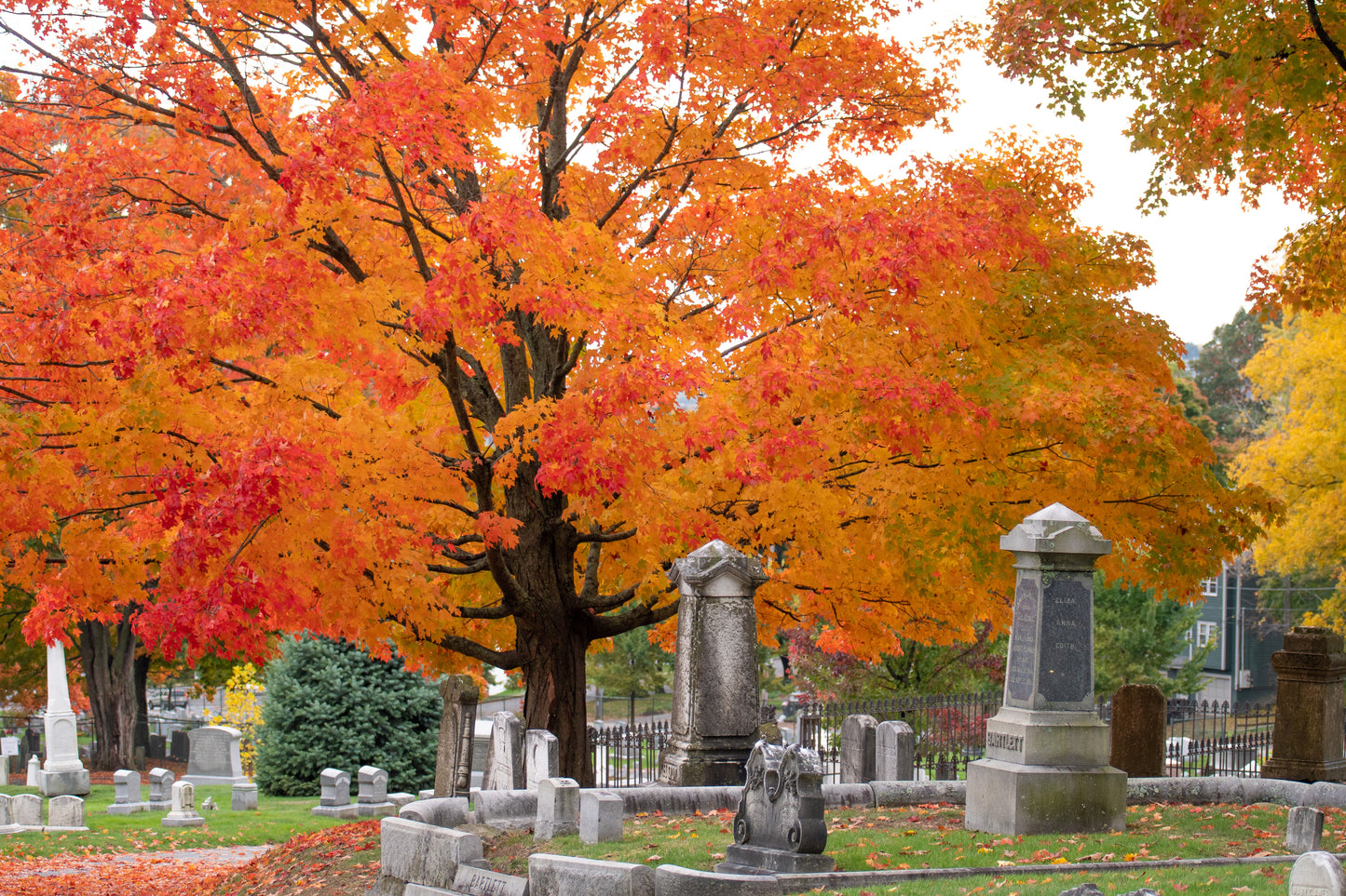Fall In The Cemetery
