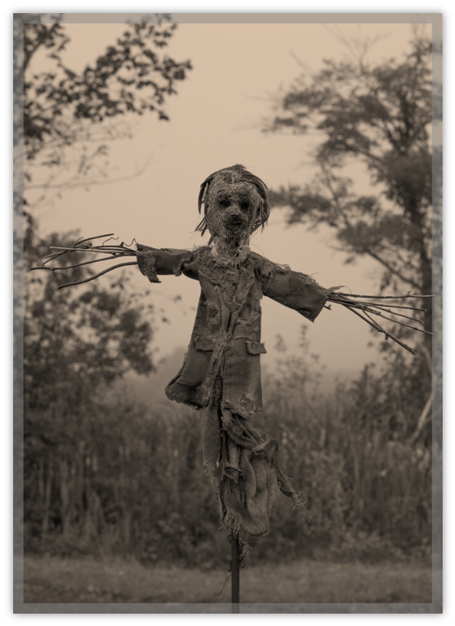 Twig Scarecrow Foliage