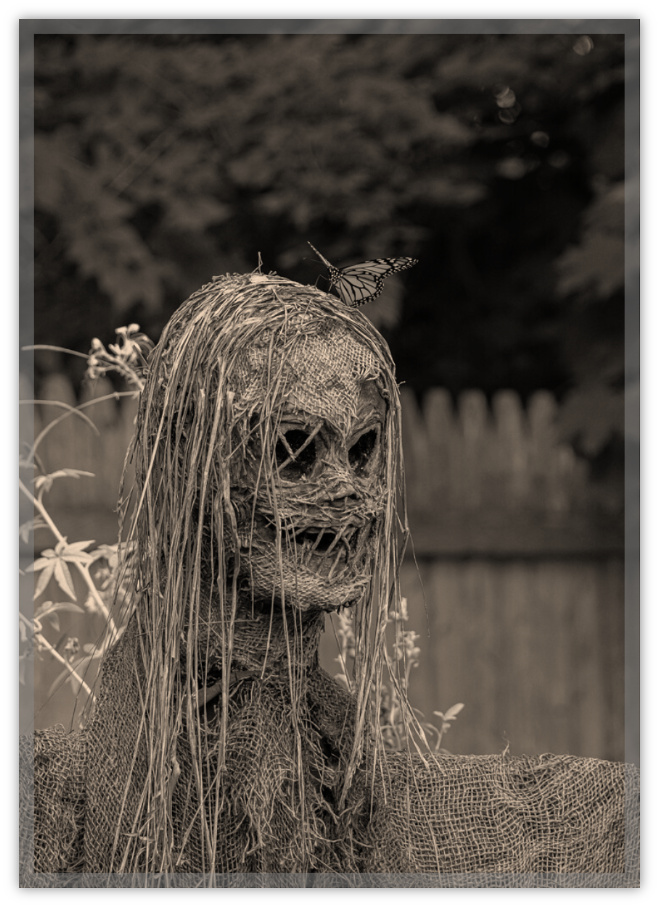 Scarecrow With Monarch