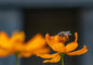 Photo Print 14