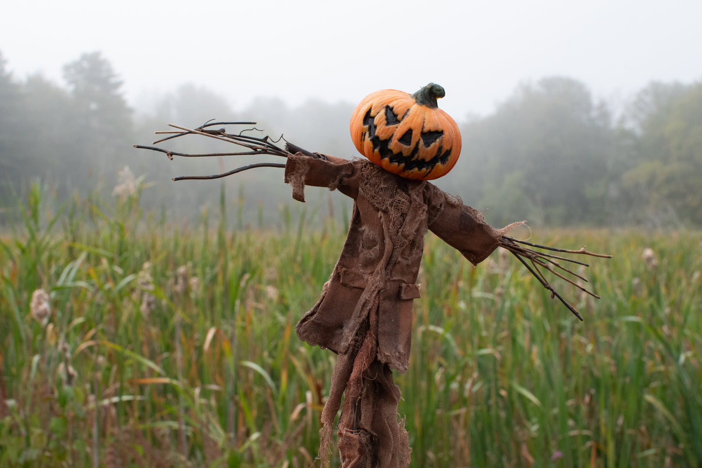 Jack O'Lantern Scarecrow Marsh