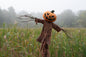 Jack O'Lantern Scarecrow Marsh