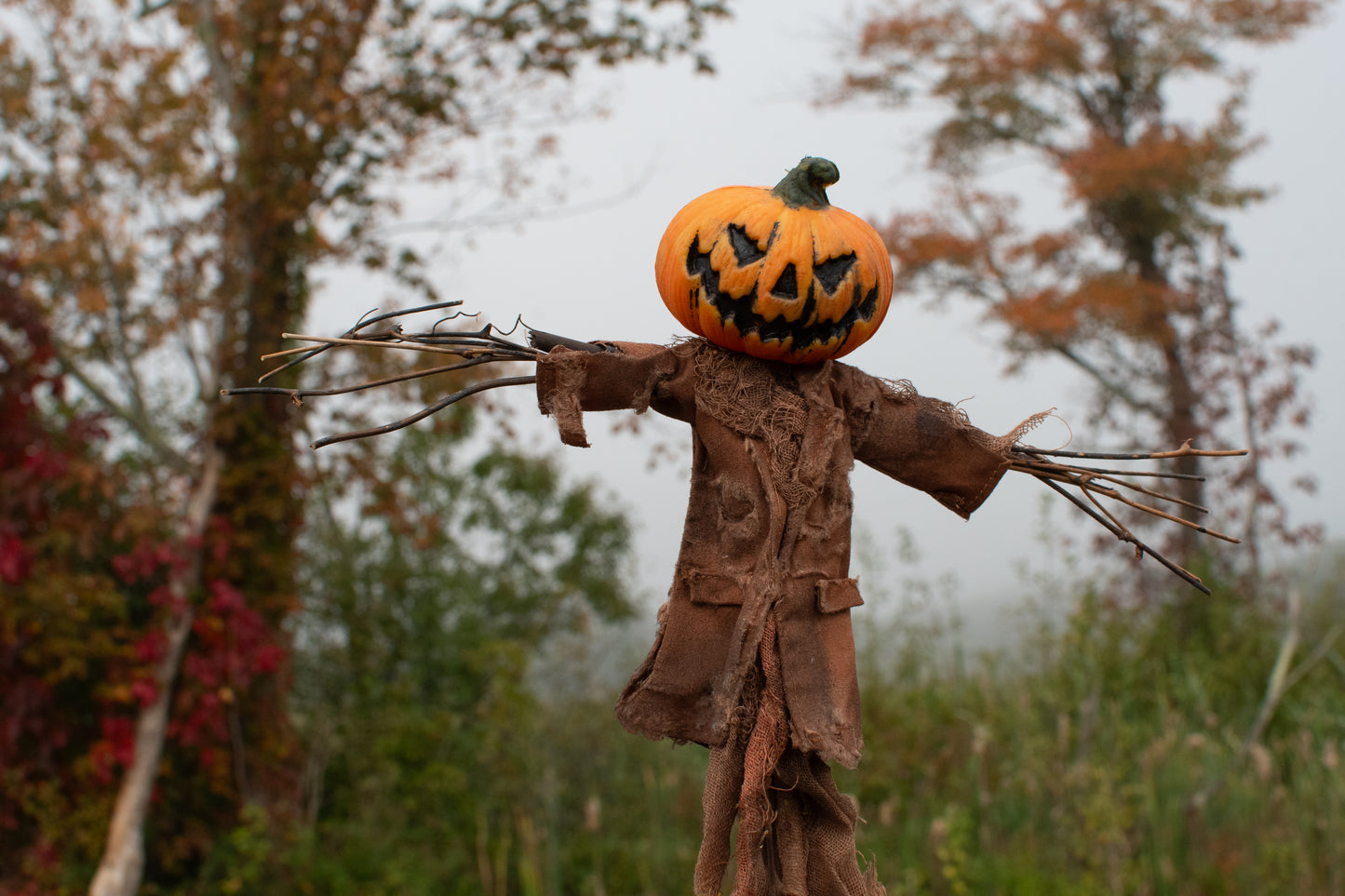 Jack O'Lantern Scarecrow Foliage
