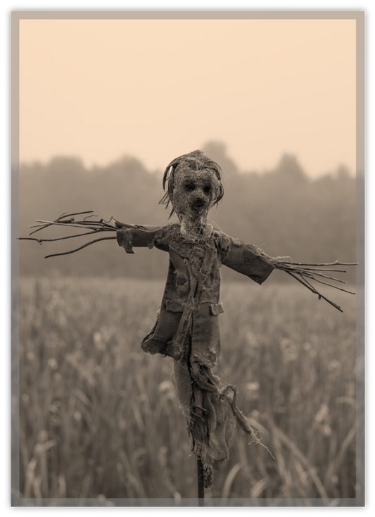 Twig Scarecrow Marsh