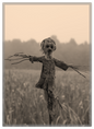 Twig Scarecrow Marsh